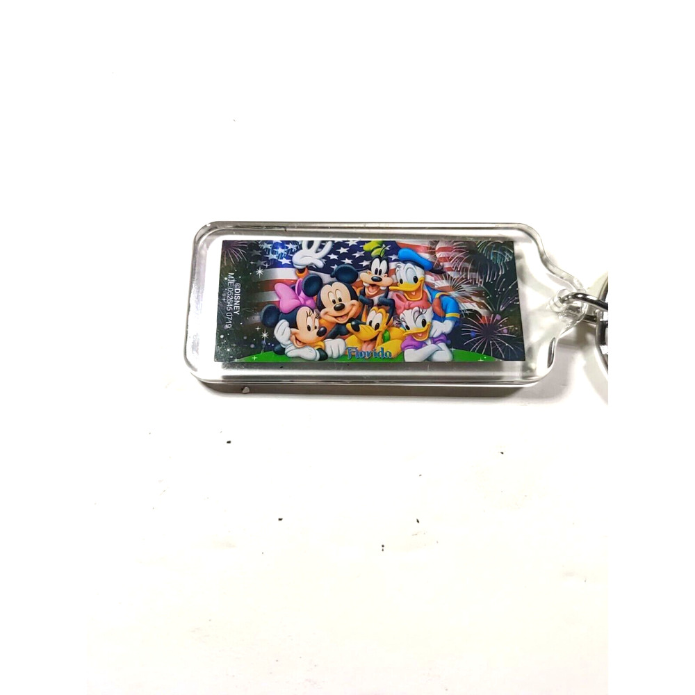 Disney Florida Acrylic Keychain